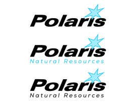 Nro 99 kilpailuun Polaris Logo Update - 26/11/2021 18:51 EST käyttäjältä dreammrkhan