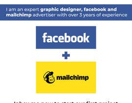 #15 for facebook ads by faizangill2977