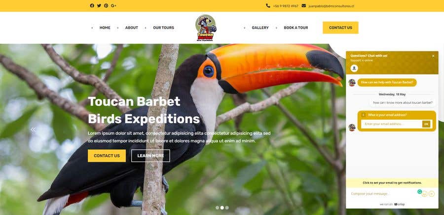 Penyertaan Peraduan #12 untuk                                                 landing Page design for bird watching agency. modern and easy to understand, and best call to action
                                            