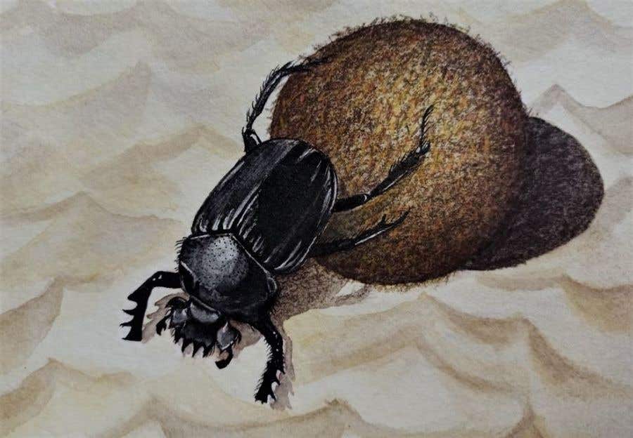 
                                                                                                                        Konkurrenceindlæg #                                            12
                                         for                                             Dung Beetle Caricature. Contest.
                                        