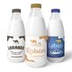 Contest Entry #366 thumbnail for                                                     bottle label design for a cultured milk based product
                                                