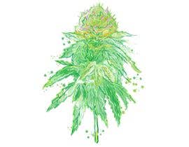 #85 for Draw or illustrate a hemp plant for me by andybudhi