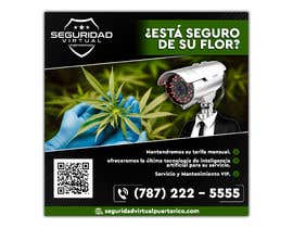Nro 39 kilpailuun Flyer to send by email Medical Cannabis Virtual Security käyttäjältä miguelviloria26