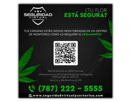 #132 for Flyer to send by email Medical Cannabis Virtual Security by miguelviloria26