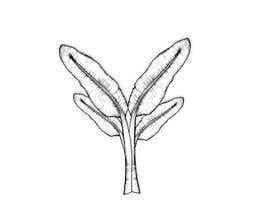 #150 cho Banana leaf plant line drawing bởi AlShaimaHassan