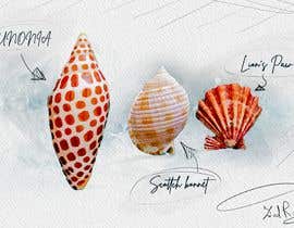 #77 untuk Draw or Paint a Three Specific Sea Shells JUNONIA, SCOTCH BONNET and LION’S PAW oleh ZiadRady1