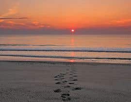 #108 for image of beach at sunset with footprints next to pawprints in sand by mkibriya191