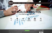  Design a Website Mockup for Trice Web Development için Graphic Design25 No.lu Yarışma Girdisi