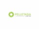 Kilpailutyön #605 pienoiskuva kilpailussa                                                     Design a Logo for Pelletasia
                                                