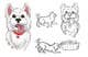 Ảnh thumbnail bài tham dự cuộc thi #30 cho                                                     crreate a cartoon illustration of my dog for a childrens book
                                                