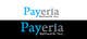 Wettbewerbs Eintrag #175 Vorschaubild für                                                     Logo Design for Payeria Network Inc.
                                                