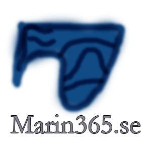 Proposition n°1 du concours                                                 Logo design Marin365.se
                                            