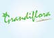 Ảnh thumbnail bài tham dự cuộc thi #232 cho                                                     Graphic Design for Grandiflora
                                                