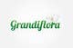 Miniatura de participación en el concurso Nro.138 para                                                     Graphic Design for Grandiflora
                                                