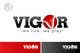 Wettbewerbs Eintrag #381 Vorschaubild für                                                     Logo Design for Vigor (Global multisport apparel)
                                                