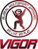 Wettbewerbs Eintrag #276 Vorschaubild für                                                     Logo Design for Vigor (Global multisport apparel)
                                                