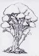 Miniatura da Inscrição nº 39 do Concurso para                                                     Draw an Ash Tree with character
                                                