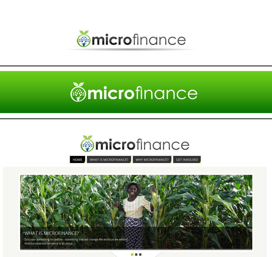 Penyertaan Peraduan #11 untuk                                                 Design a logo for my microfinance info site
                                            