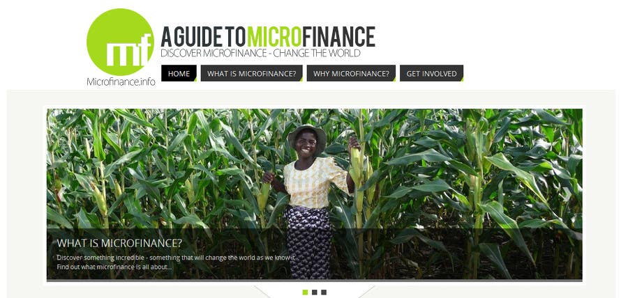 Penyertaan Peraduan #20 untuk                                                 Design a logo for my microfinance info site
                                            