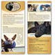 Kilpailutyön #13 pienoiskuva kilpailussa                                                     Design a Brochure for Southeast German Shepherd Rescue's Chance Medical Fund
                                                