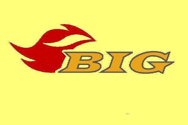 
                                                                                                            Inscrição nº                                         115
                                     do Concurso para                                         Design a Logo for BIG "Blaze Investor Group"
                                    