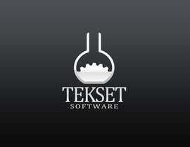 #67 untuk Design a Logo for our company Tekset Software oleh arispapapro