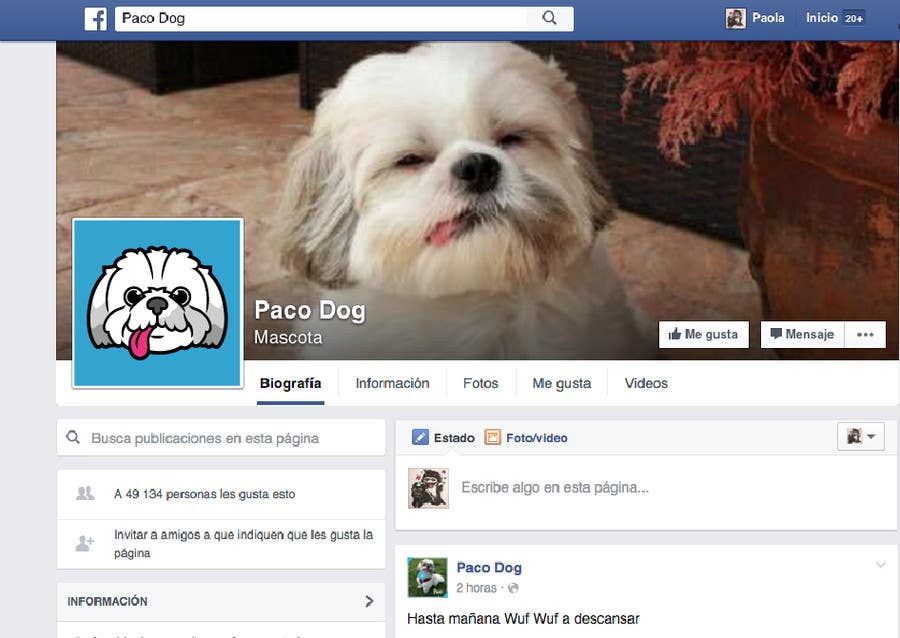 Contest Entry #24 for                                                 Design a Logo for Paco Dog, Crea un logo para Paco Dog
                                            