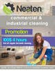 Wasilisho la Shindano #3 picha ya                                                     Design a Flyer for our Domestic Cleaning Promotion
                                                