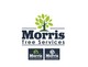 Ảnh thumbnail bài tham dự cuộc thi #7 cho                                                     Morris Tree Services
                                                