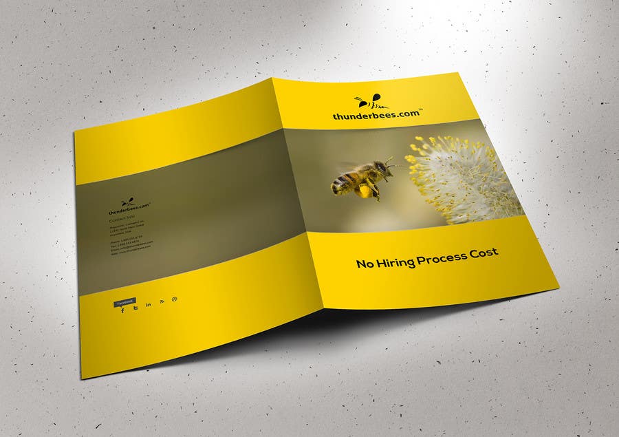 Kilpailutyö #30 kilpailussa                                                 Design a Brochure for thunderbees
                                            