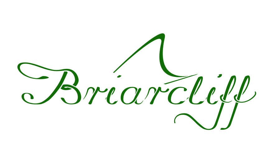 Proposition n°49 du concours                                                 Design a Logo for Briarcliff Group
                                            
