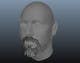 Icône de la proposition n°47 du concours                                                     Create realistic 3D beard for interactive viewing
                                                