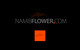 Мініатюра конкурсної заявки №200 для                                                     Design a Logo for NamibFlower.com
                                                