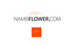 Мініатюра конкурсної заявки №200 для                                                     Design a Logo for NamibFlower.com
                                                