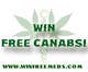 Contest Entry #7 thumbnail for                                                     Design a Banner for Medical Marijuana website
                                                