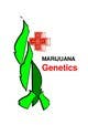 Konkurrenceindlæg #10 billede for                                                     Graphic Design Logo for MMJ Genetics and mmjgenetics.com
                                                