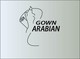 Pictograma corespunzătoare intrării #89 pentru concursul „                                                    Logo Design for Arabian Gown
                                                ”