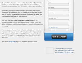 #49 para Wordpress Theme Design for Reputation management website por walkingassassin