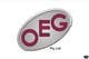 Imej kecil Penyertaan Peraduan #412 untuk                                                     Logo Design for OEG Pty Ltd
                                                