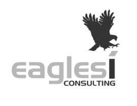 #26 for Logo Design for &quot;eagles i Consulting&quot; af FROZZUN