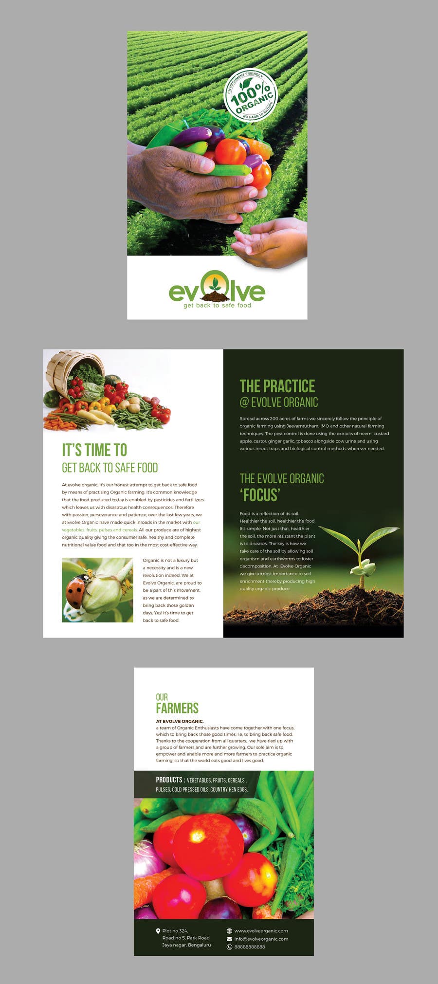 Intrarea #20 pentru concursul „                                                brochure design for organic vegetables and fruits
                                            ”