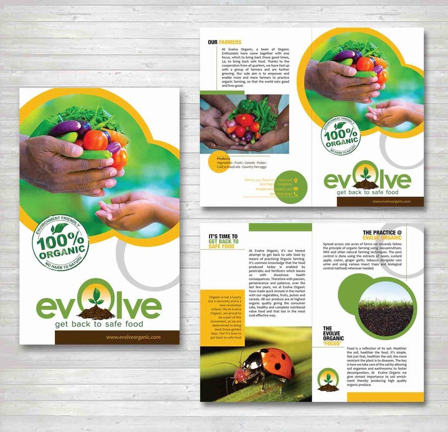 Intrarea #11 pentru concursul „                                                brochure design for organic vegetables and fruits
                                            ”