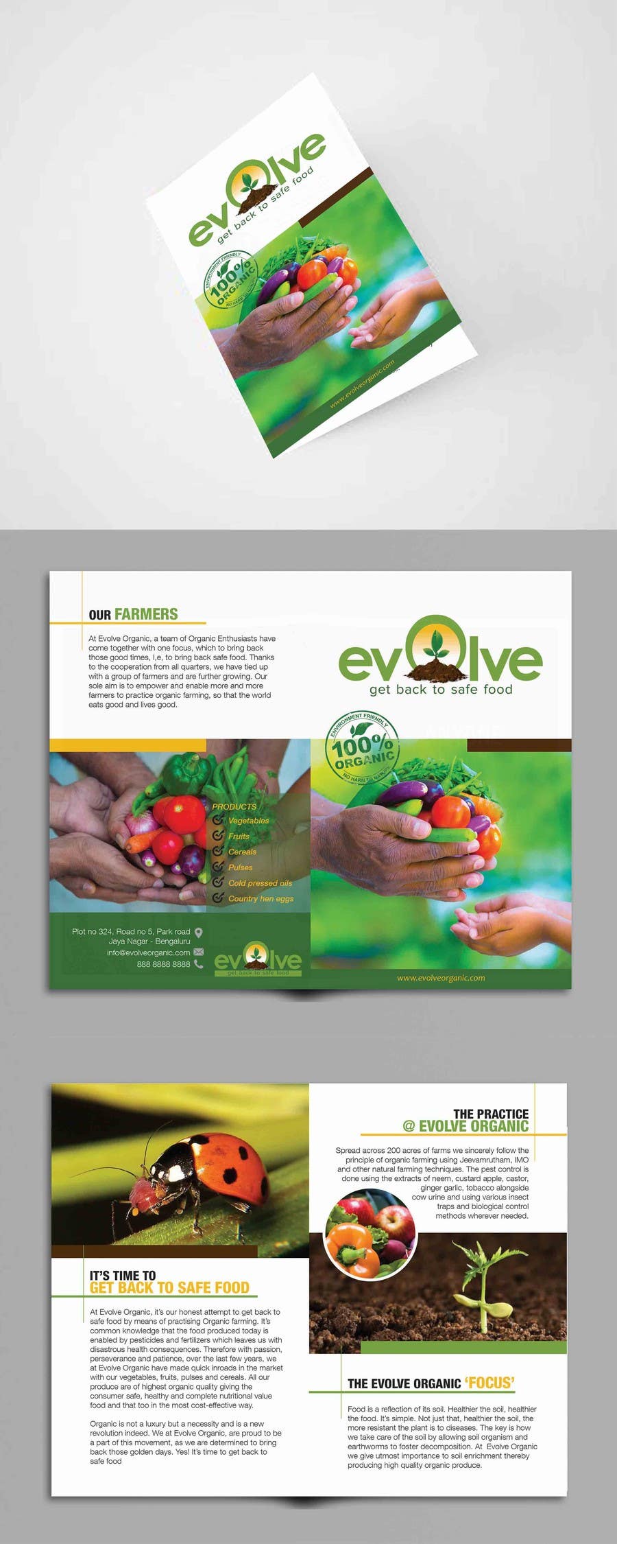 Intrarea #13 pentru concursul „                                                brochure design for organic vegetables and fruits
                                            ”