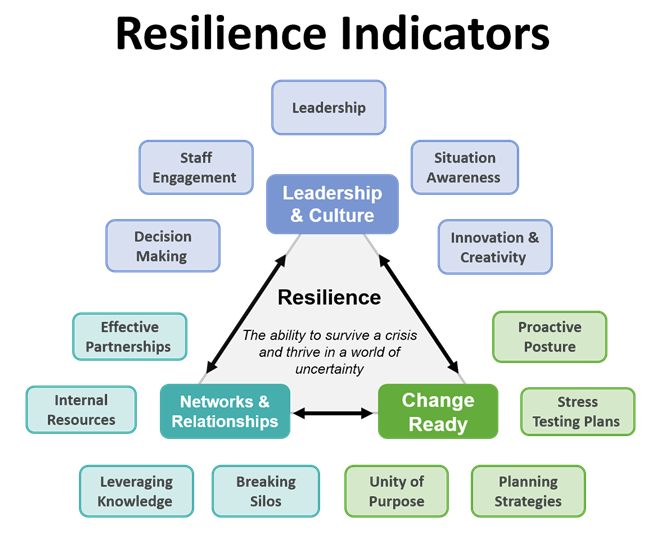 KoganPage infographic showing Resilience Indicators