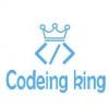 codeingkingのプロフィール写真