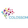 Изображение профиля ColossomIT