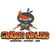 Gingerninjas sitt profilbilde
