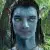 Avatar người dùng