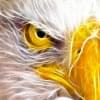 EagleSoarHighers Profilbild