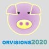 orvisions2020的简历照片
